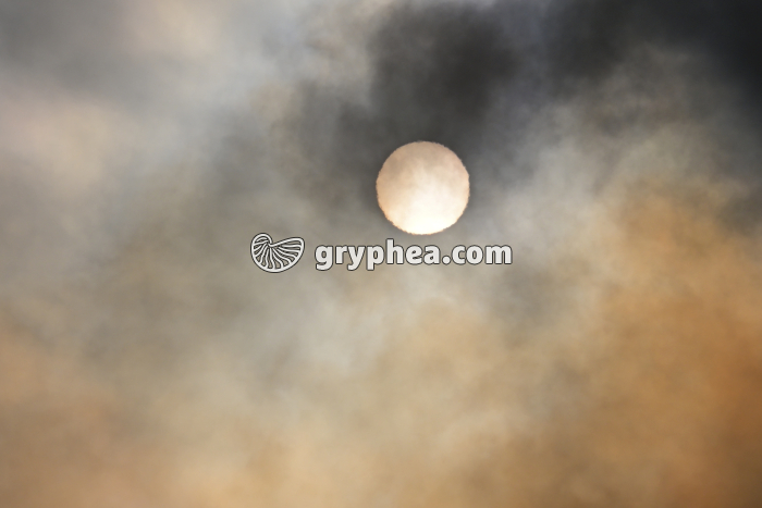 Vapeurs et gaz volcaniques émis par le volcan - gryphea.com